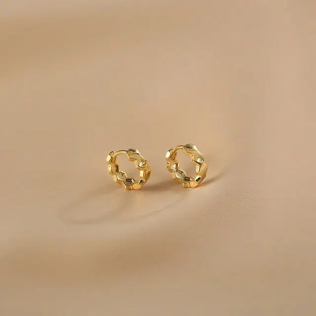 zoo jewel ins S925