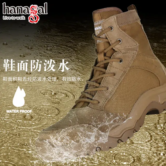 hanagal