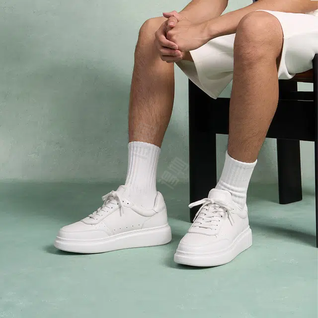 THOM WILLS trainer