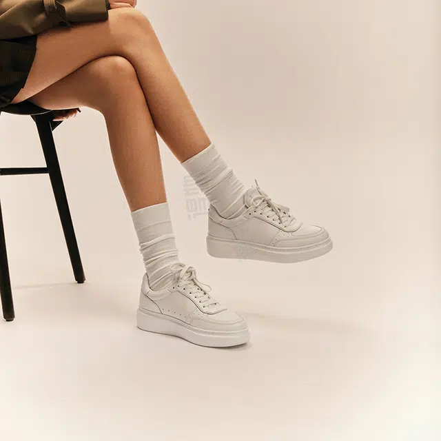 THOM WILLS trainer