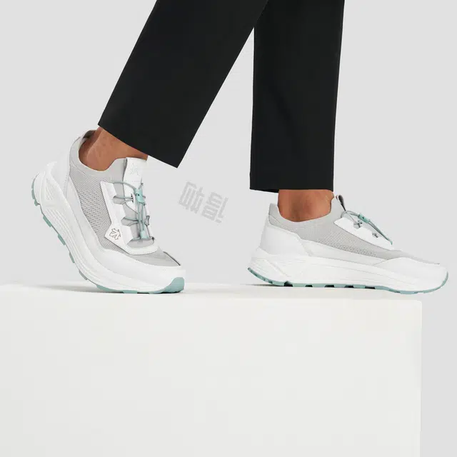 DESCENTE DUALIS