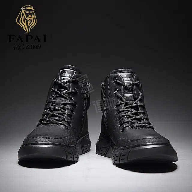 FAPAI