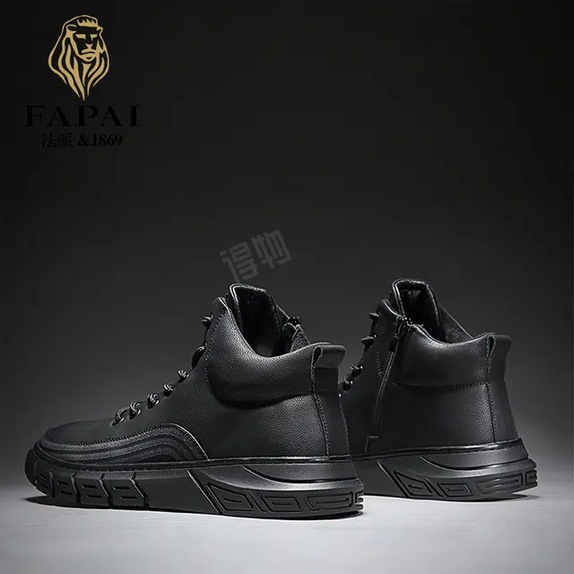 FAPAI