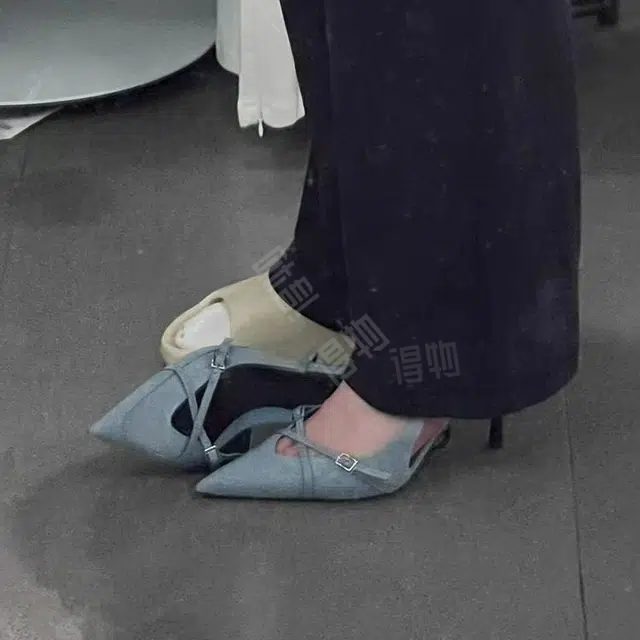 SHUXI PU