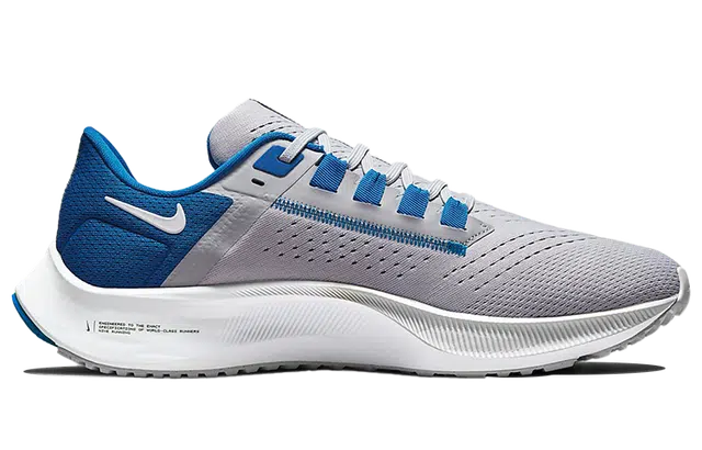 Nike Pegasus 38