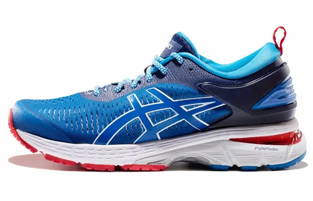 Asics Gel-Kayano 25