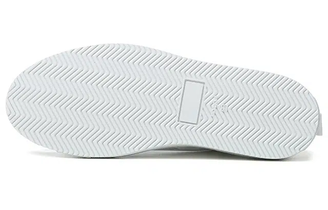 Common Projects