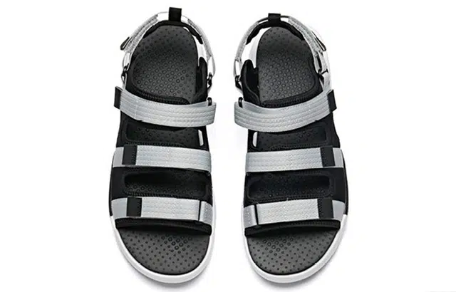 Anta