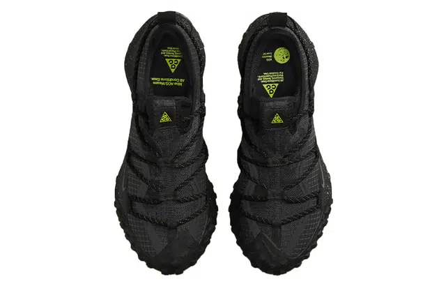 Nike ACG Mountain Fly Low GTX SE