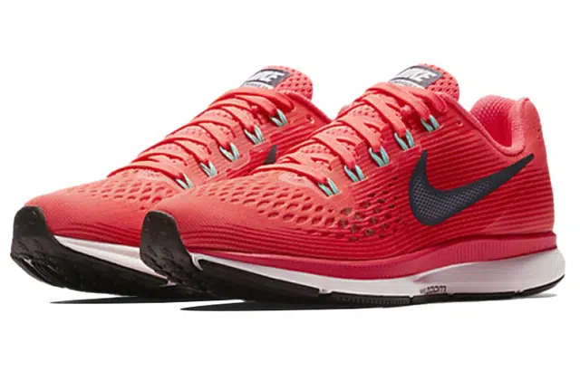 Nike Pegasus 34