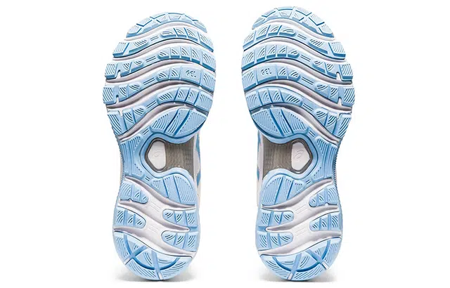 Asics GEL-Nimbus 22
