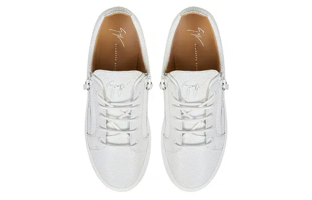 giuseppe zanottiGZ Frankie