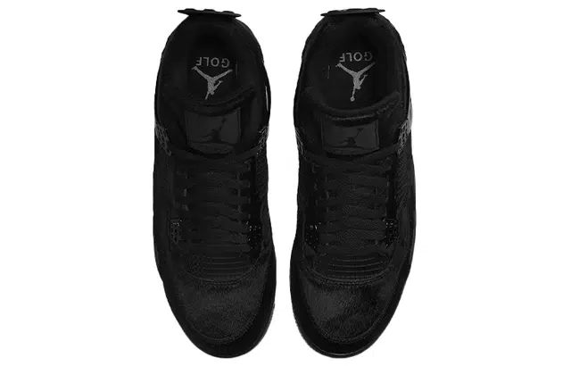 Jordan Air Jordan 4 black cat