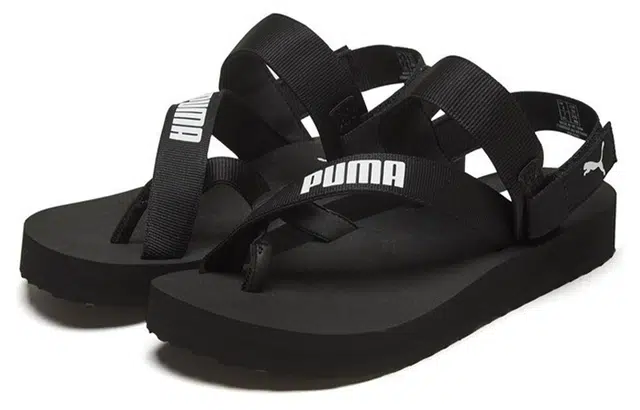 Puma Summercat