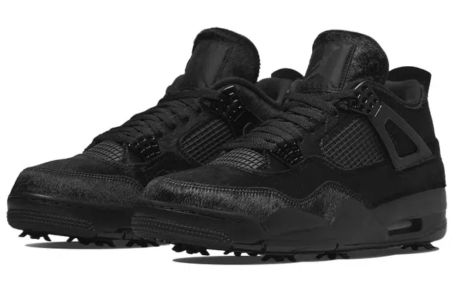 Jordan Air Jordan 4 black cat