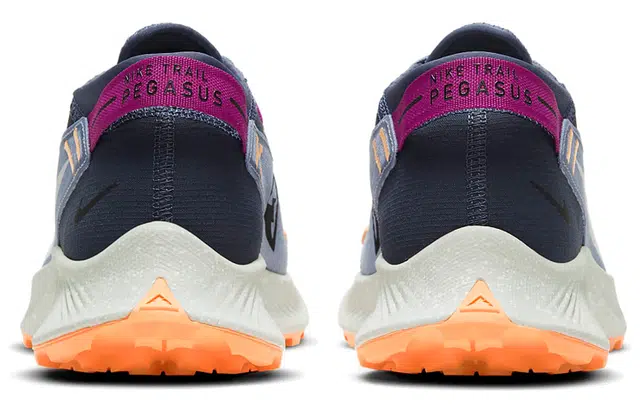 Nike Pegasus Trail 2