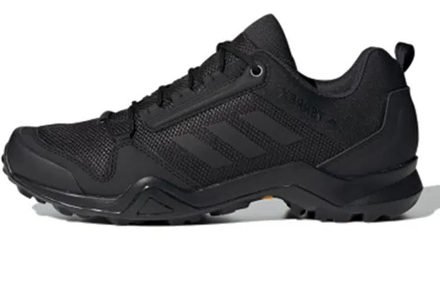 adidas Terrex AX3 GTX