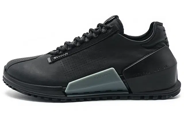 ecco 2.0