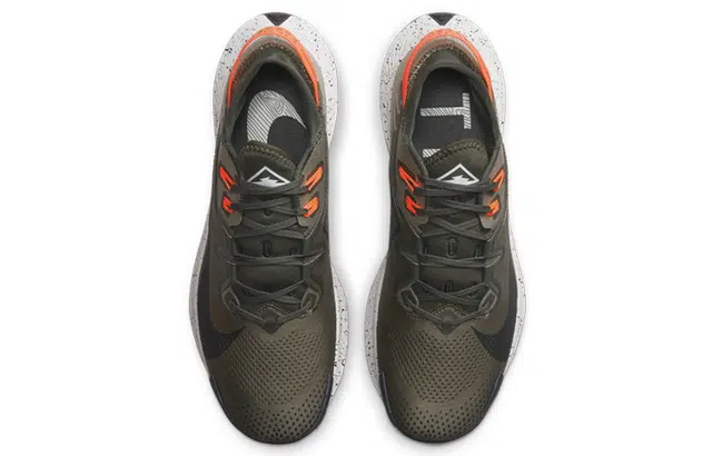 Nike Pegasus Trail 2