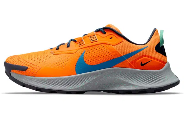 Nike Pegasus Trail 3