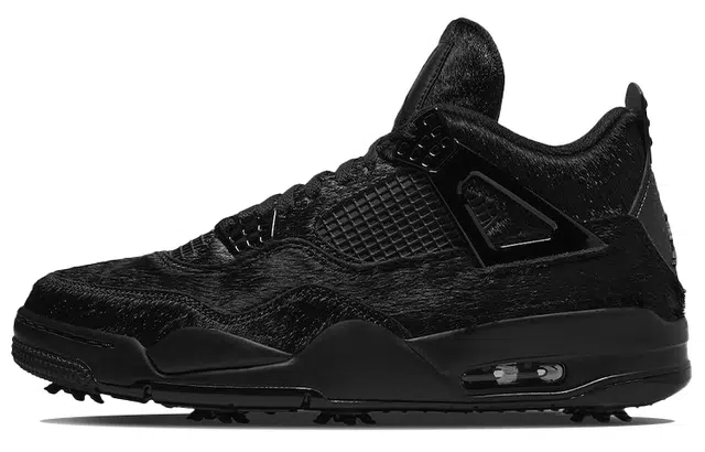 Jordan Air Jordan 4 black cat