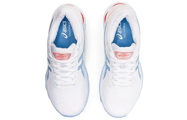 Asics GEL-Nimbus 22