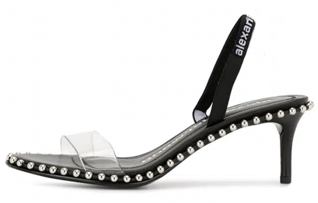 alexander wang