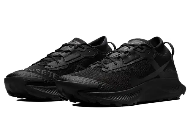 Nike Pegasus Trail 3 gore-tex "black"