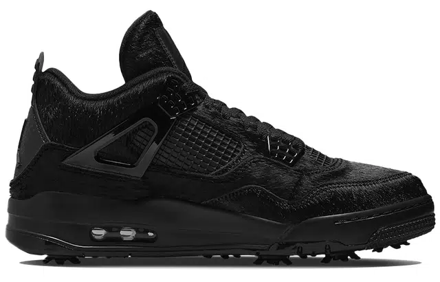 Jordan Air Jordan 4 black cat