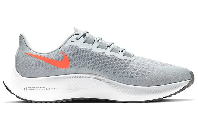 Nike Pegasus 37