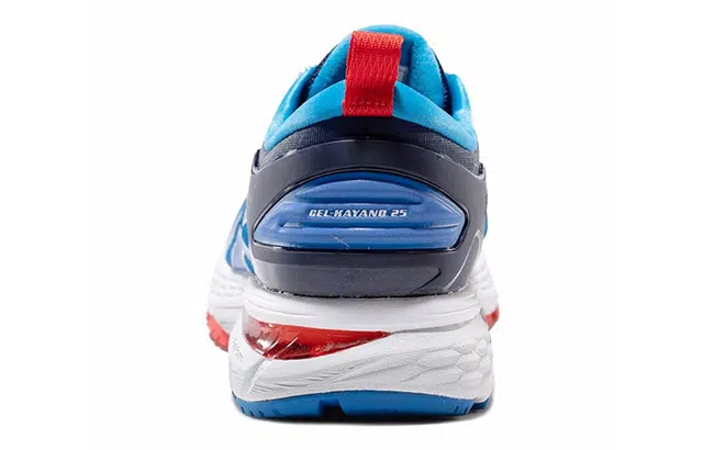 Asics Gel-Kayano 25
