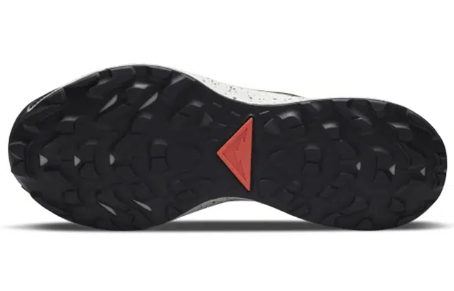 Nike Pegasus Trail 2