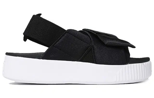 PUMA Platform Slide