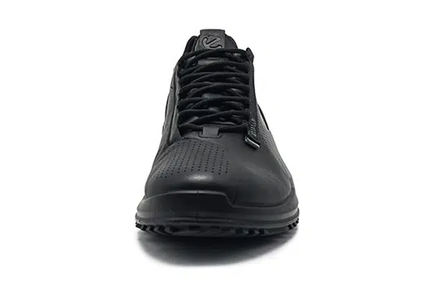 ecco 2.0