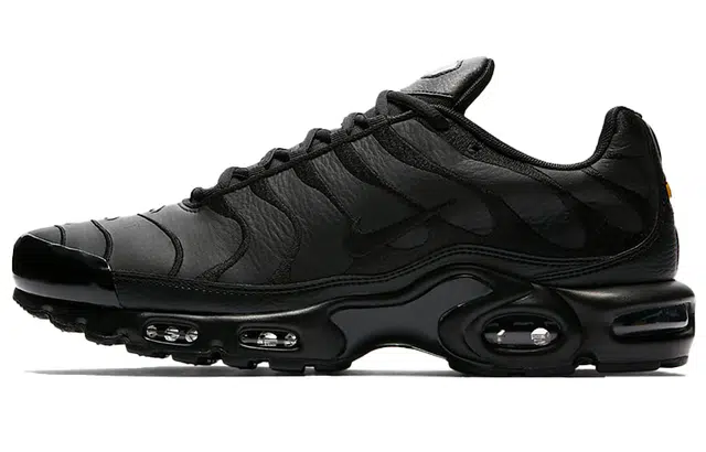 Nike Air Max Plus Triple Black