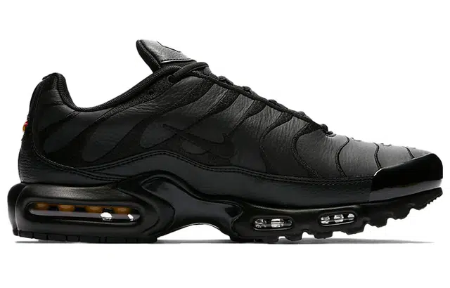 Nike Air Max Plus Triple Black