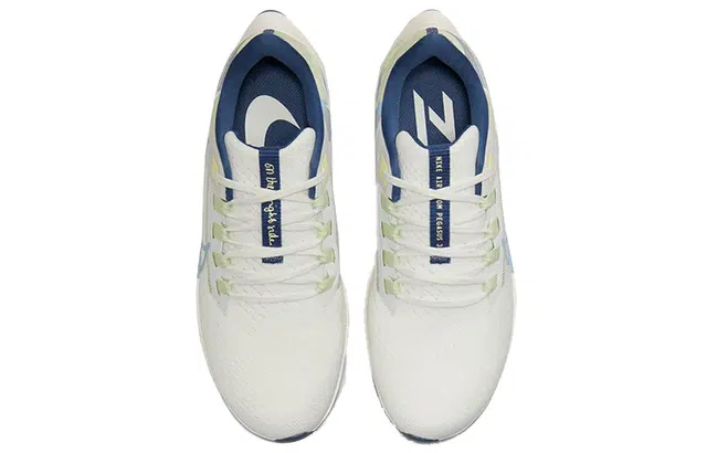 Nike Pegasus 38