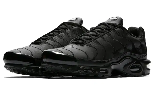 Nike Air Max Plus Triple Black