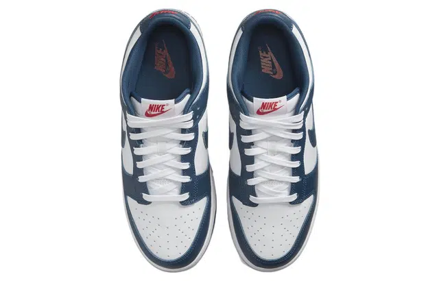 Nike Dunk Low Retro "Valerian Blue"