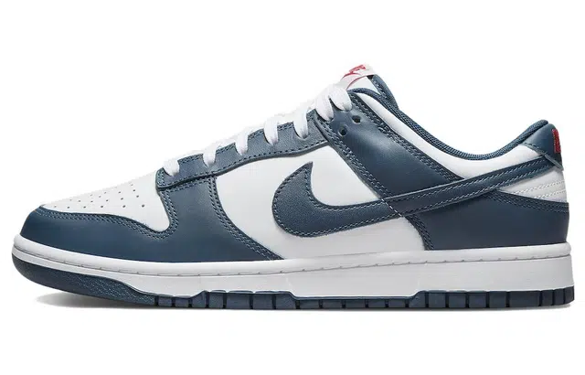 Nike Dunk Low Retro "Valerian Blue"