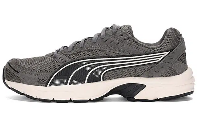 PUMA Axis