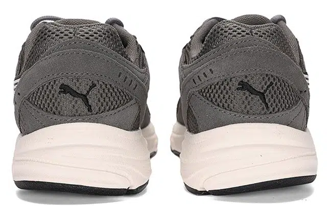 PUMA Axis