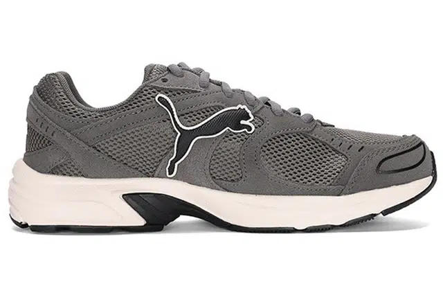 PUMA Axis