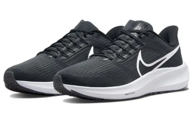 Nike Air Zoom Pegasus 39