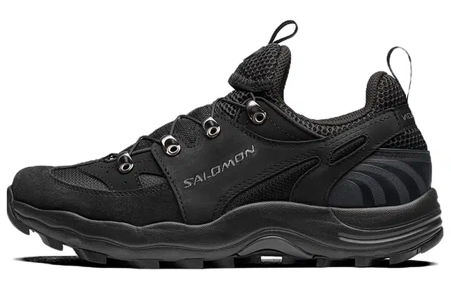Salomon Raid Wind Black