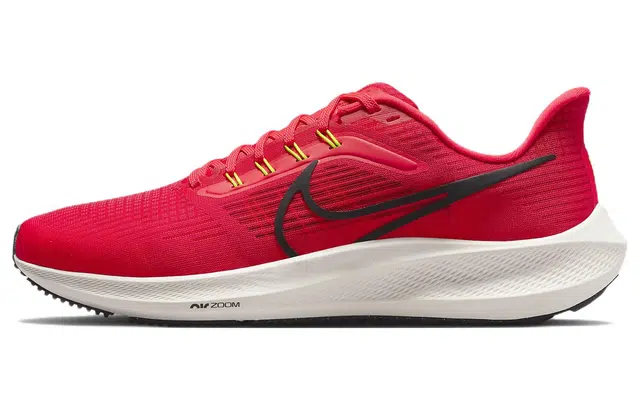 Nike Air Zoom Pegasus 39