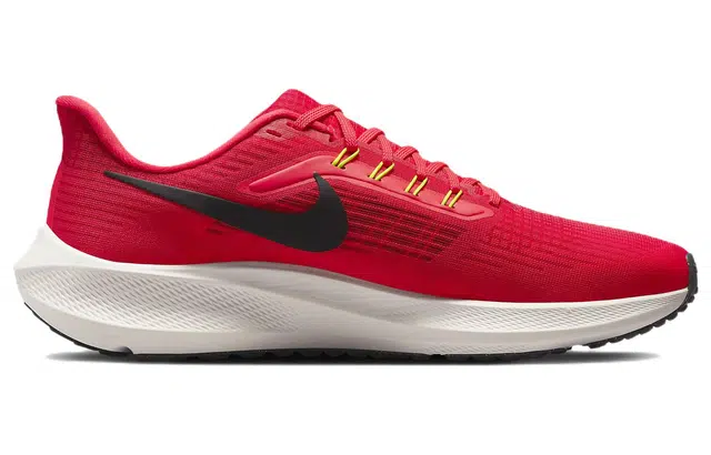 Nike Air Zoom Pegasus 39