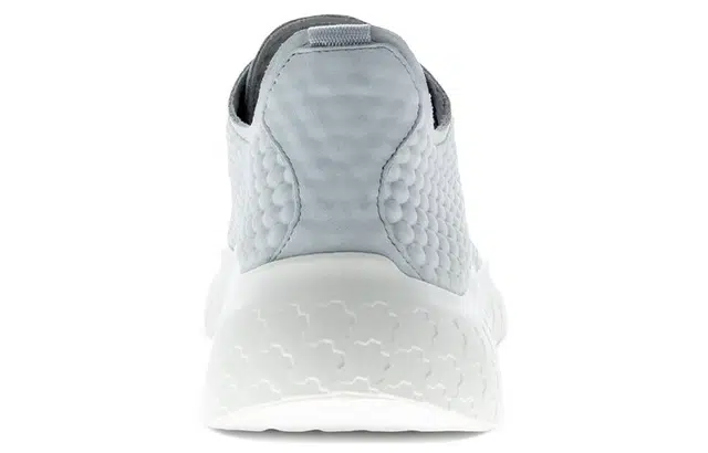 ecco Therap