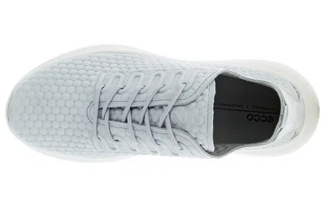 ecco Therap