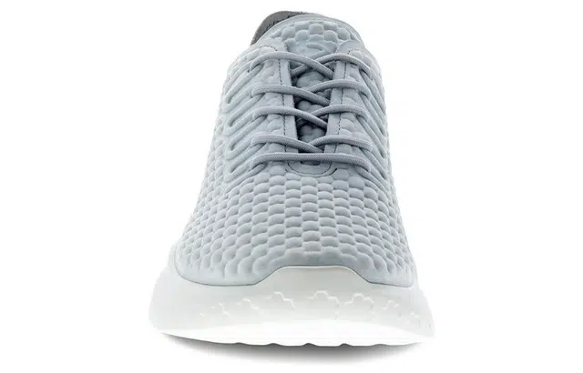 ecco Therap